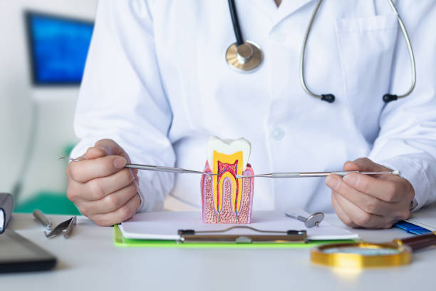 Best After-Hours Dental Trauma Care in Keene, TX